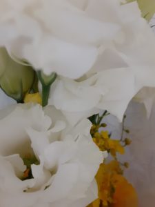 「ホ・オポノポノ　ライフ」より　子育てに関する名言を集めました