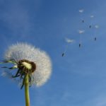 「風の時代」を楽しむための3つのポイント