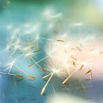 ふたたびHSPテストをしてみる そして結果を受け入れる