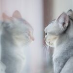 ただの主婦 金融資産が倍増したワケ⑤富裕層の行動と考え方をマネする