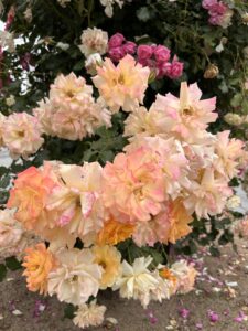 環境と心を整えると豊かさがやってくる　整えて波動を上げることが大切