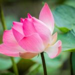 不平不満を言っているときに起こっていること 不平不満は言っちゃだめな理由