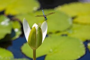 何よりも大切なのは自分を愛すること　いい人でいるための我慢はいらない