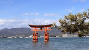 波動が高い人が神社でしていること