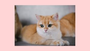 潜在意識をつかって理想の人生を引き寄せる　大切な3つのポイント