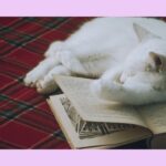 本音で生きる勇気をもらえる本 3選