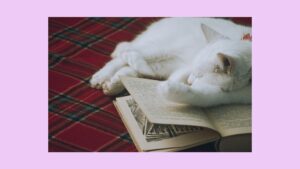 本音で生きる勇気をもらえる本 3選