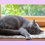 潜在意識と波動の関係　潜在意識のマイナス感情を解放すると波動は上がる