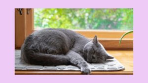 潜在意識と波動の関係　潜在意識のマイナス感情を解放すると波動は上がる