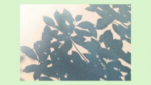 潜在意識を解放し、書き換えるベストな方法　シャドウワークについて